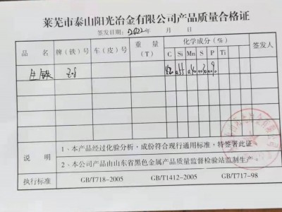萊蕪陽(yáng)光Z8圖5